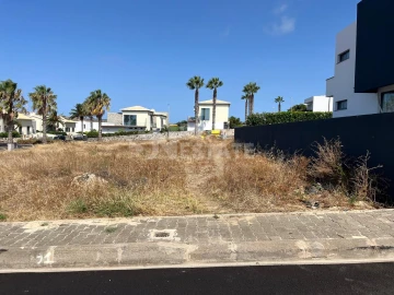 Terreno para Venda em Porto Santo