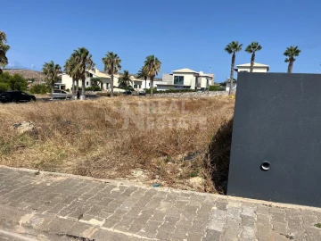 Terreno para Venda em Porto Santo