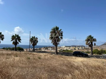Terreno para Venda em Porto Santo