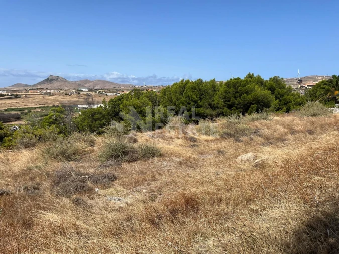 Terreno para Venda em Porto Santo Foto 10