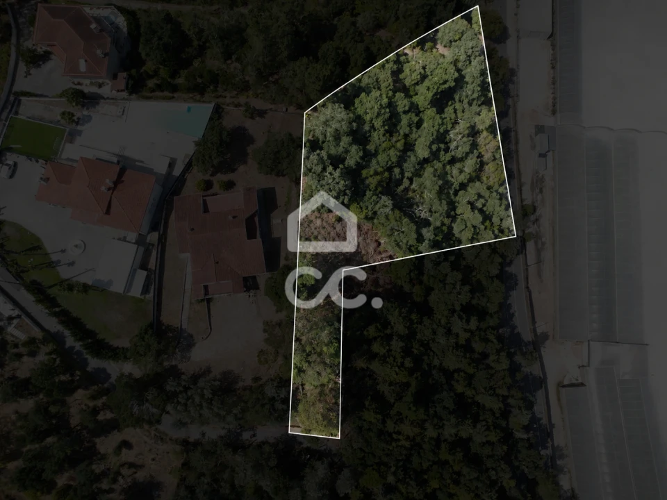 Terreno para Venda em Santa Clara e Castelo Viegas Foto 1
