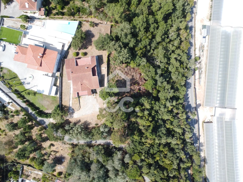 Terreno para Venda em Santa Clara e Castelo Viegas Foto 4