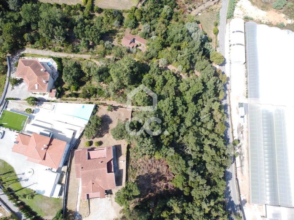 Terreno para Venda em Santa Clara e Castelo Viegas Foto 5