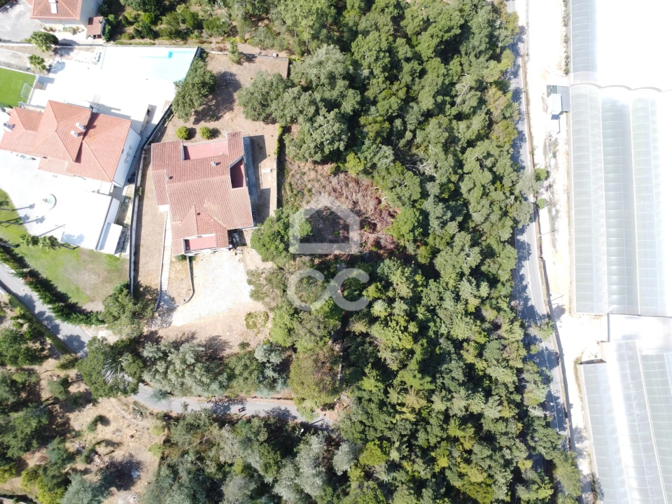 Terreno para Venda em Santa Clara e Castelo Viegas Foto 7