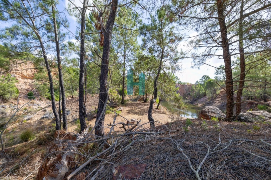 Terreno para Venda em Paderne Foto 22