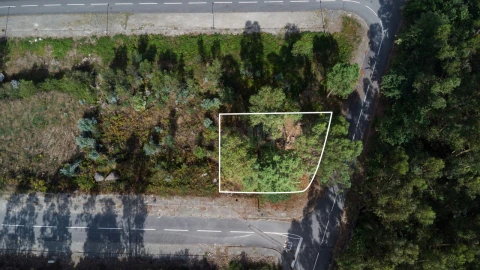 Terreno para Venda em Ruivães e Novais