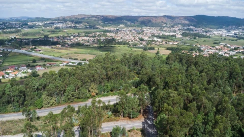 Terreno para Venda em Ruivães e Novais