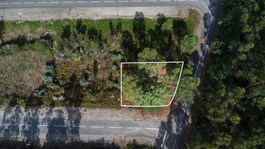 Terreno para Venda em Ruivães e Novais Foto 3