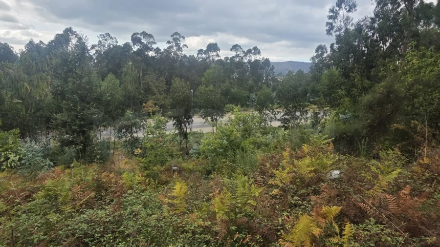 Terreno para Venda em Ruivães e Novais