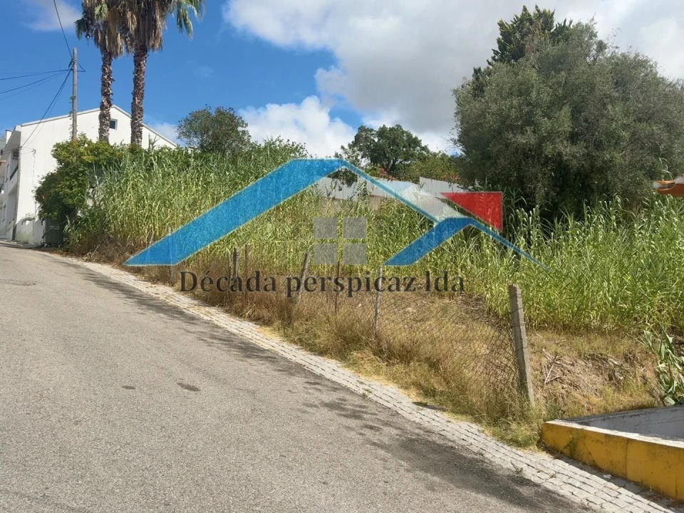 Terreno para Venda em Coruche, Fajarda e Erra Foto 3