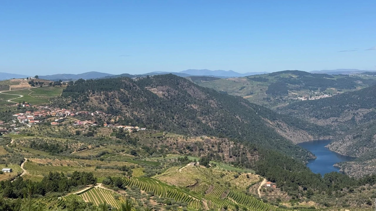 Terreno para Venda em Castanheiro do Norte e Ribalonga Foto 20