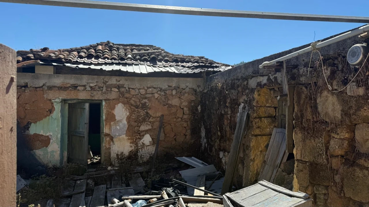 Terreno para Venda em Castanheiro do Norte e Ribalonga Foto 8