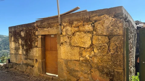 Terreno para Venda em Castanheiro do Norte e Ribalonga