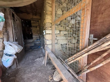 Terreno para Venda em Castanheiro do Norte e Ribalonga