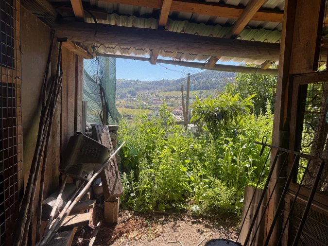 Terreno para Venda em Castanheiro do Norte e Ribalonga Foto 9