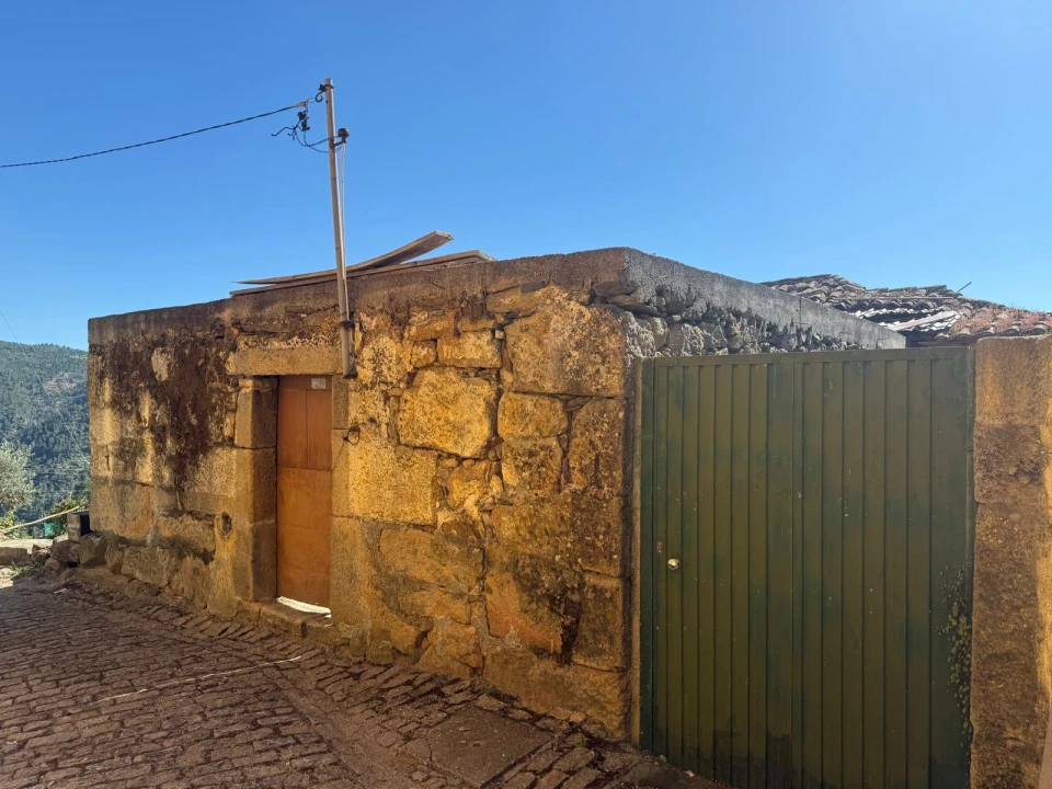 Terreno para Venda em Castanheiro do Norte e Ribalonga Foto 4