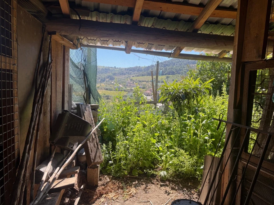 Terreno para Venda em Castanheiro do Norte e Ribalonga Foto 9
