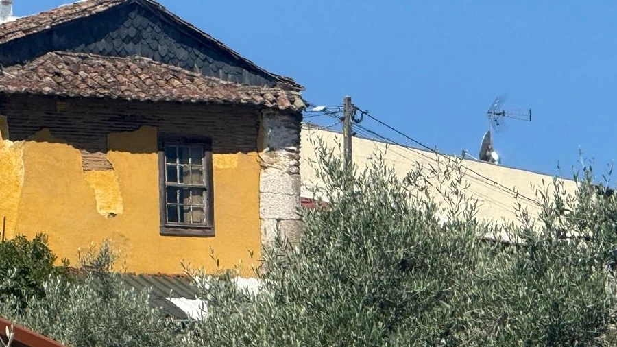 Terreno para Venda em Castanheiro do Norte e Ribalonga