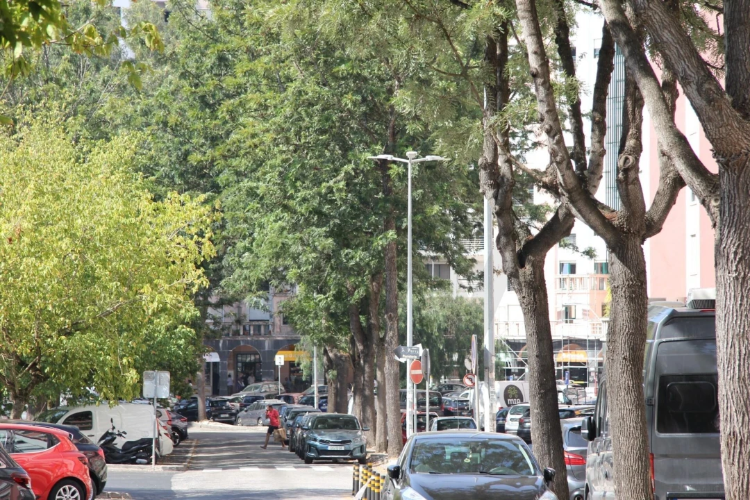 Apartamento T3 para Venda em Massamá e Monte Abraão Foto 29
