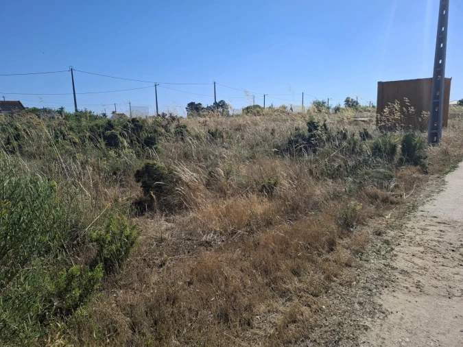 Terreno para Venda em Quinta do Anjo Foto 5
