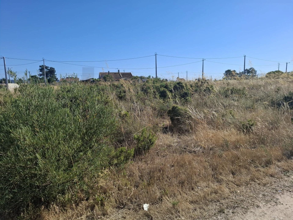 Terreno para Venda em Quinta do Anjo Foto 6