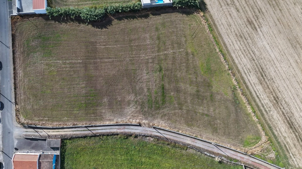 Terreno para Venda em Ribeirinha Foto 15