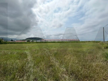 Terreno para Venda em Ribeirinha