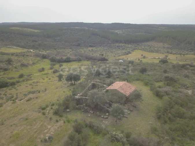 Terreno Misto para Venda em Monsanto e Idanha-A-Velha Foto 6