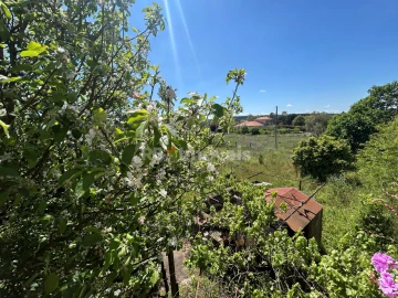 Moradia T5 para Venda em Ferreira do Zezere