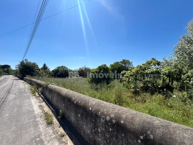Moradia T5 para Venda em Ferreira do Zezere Foto 10