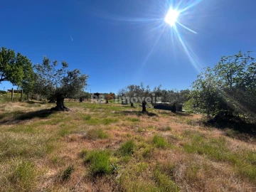 Terreno para Venda em São João Baptista e Santa Maria dos Olivais
