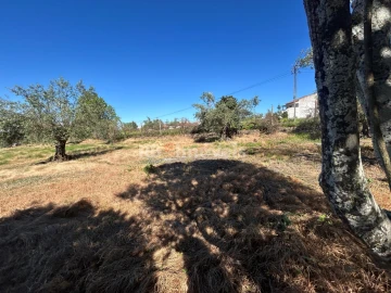 Terreno para Venda em São João Baptista e Santa Maria dos Olivais