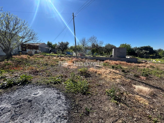 Terreno para Venda em São João Baptista e Santa Maria dos Olivais Foto 15