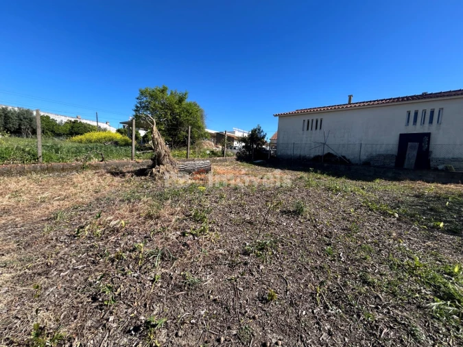 Terreno para Venda em São João Baptista e Santa Maria dos Olivais Foto 18