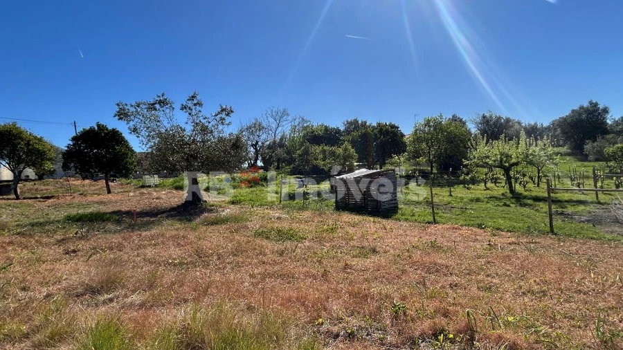Terreno para Venda em São João Baptista e Santa Maria dos Olivais