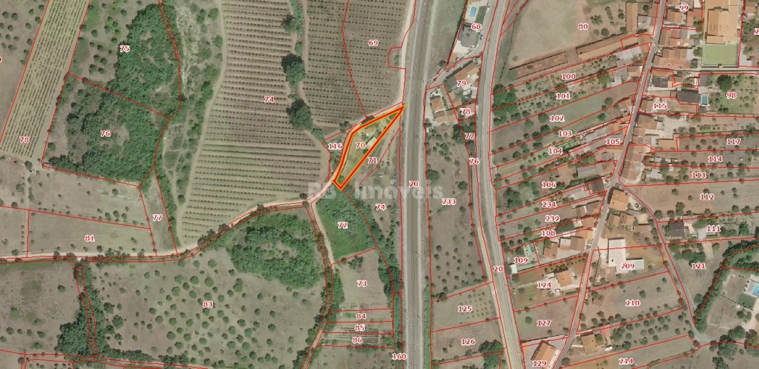 Terreno Agricola ou Rústico para Venda em Paialvo Foto 1