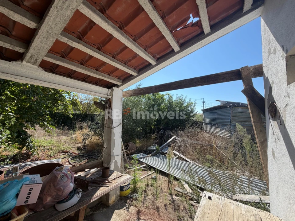 Terreno Agricola ou Rústico para Venda em Paialvo Foto 3