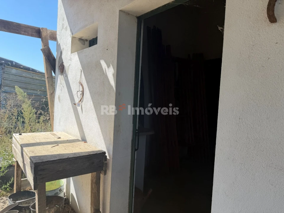 Terreno Agricola ou Rústico para Venda em Paialvo Foto 4