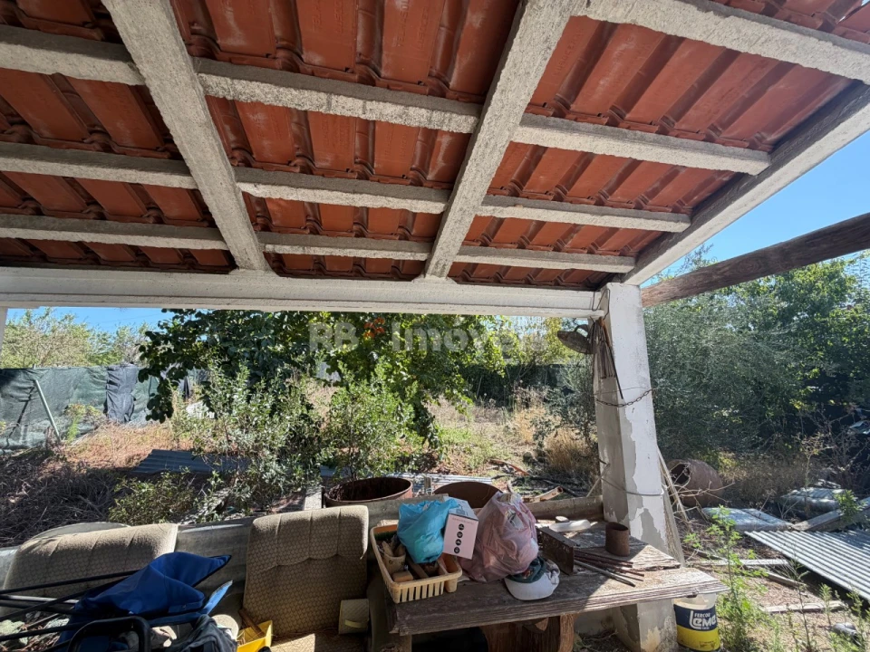 Terreno Agricola ou Rústico para Venda em Paialvo Foto 5