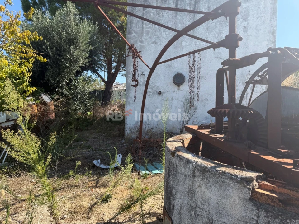 Terreno Agricola ou Rústico para Venda em Paialvo Foto 8