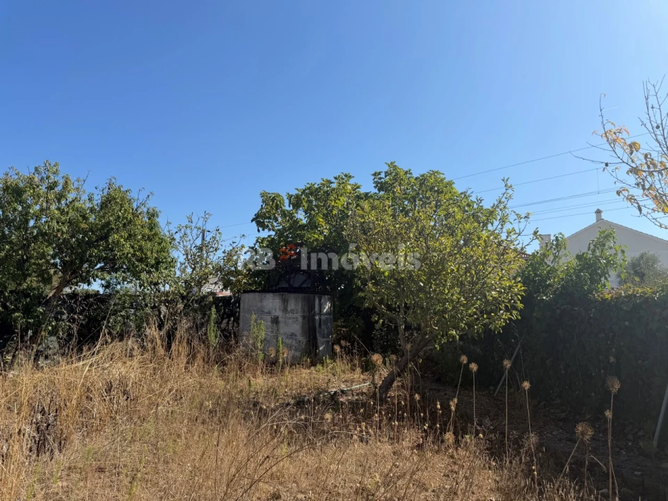 Terreno Agricola ou Rústico para Venda em Paialvo Foto 10
