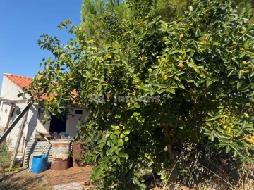 Terreno Agricola ou Rústico para Venda em Paialvo