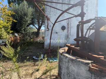 Terreno Agricola ou Rústico para Venda em Paialvo