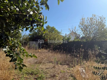 Terreno Agricola ou Rústico para Venda em Paialvo
