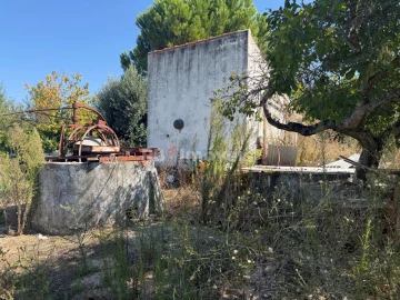 Terreno Agricola ou Rústico para Venda em Paialvo