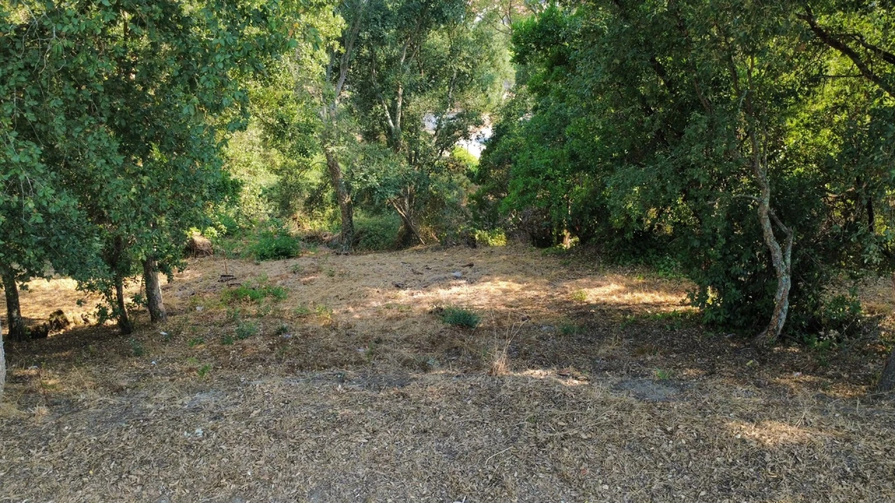 Terreno para Venda em Rio Mau Foto 2