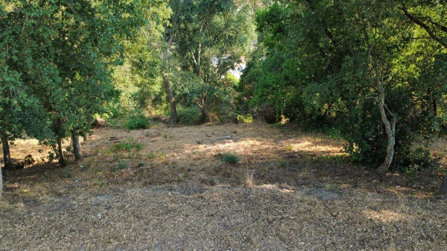 Terreno para Venda em Rio Mau Foto 2