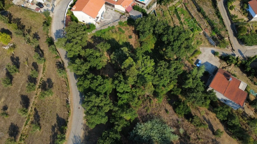 Terreno para Venda em Rio Mau Foto 4