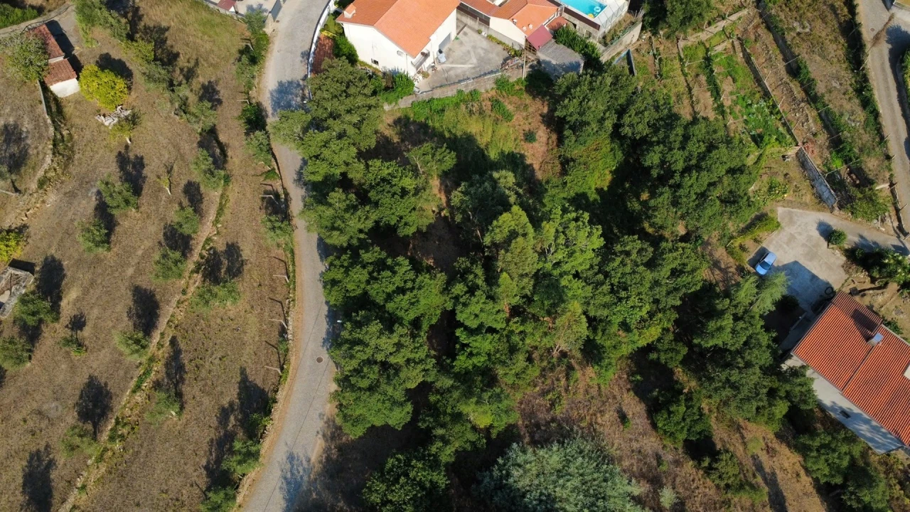 Terreno para Venda em Rio Mau Foto 5