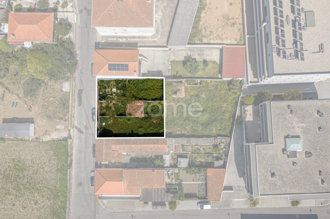 Terreno para Venda em Madalena Foto 1